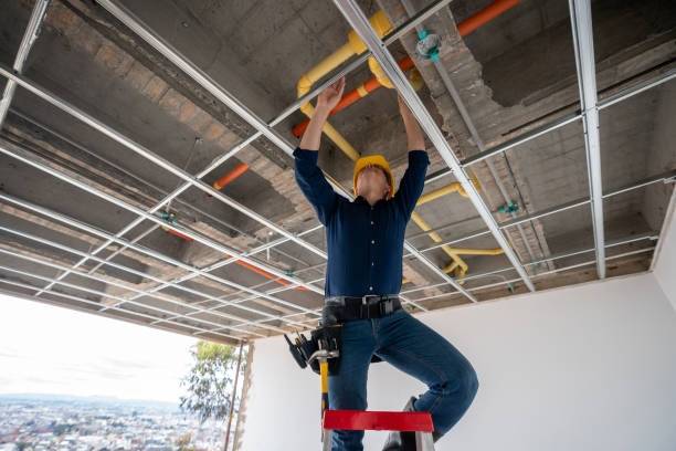 Best Plumbing Repair Near Me  in Wood River, NE
