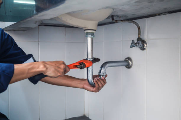 Best Commercial Plumbing Services  in Wood River, NE
